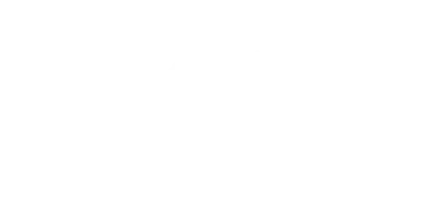 n-brand-che-fico