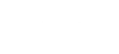 n-brand-praxis-vapors