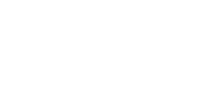 n-brand-texas-star